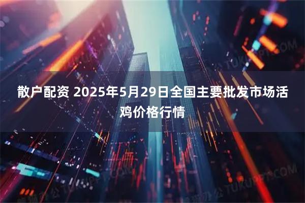 散户配资 2025年5月29日全国主要批发市场活鸡价格行情