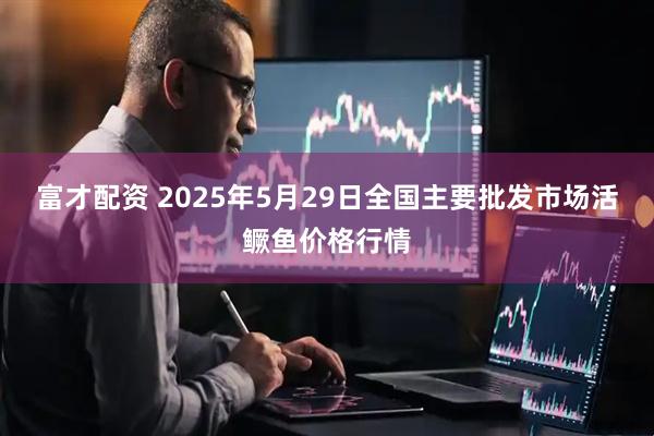 富才配资 2025年5月29日全国主要批发市场活鳜鱼价格行情