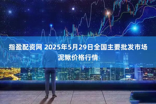 指盈配资网 2025年5月29日全国主要批发市场泥鳅价格行情