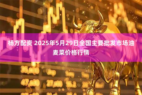 杨方配资 2025年5月29日全国主要批发市场油麦菜价格行情
