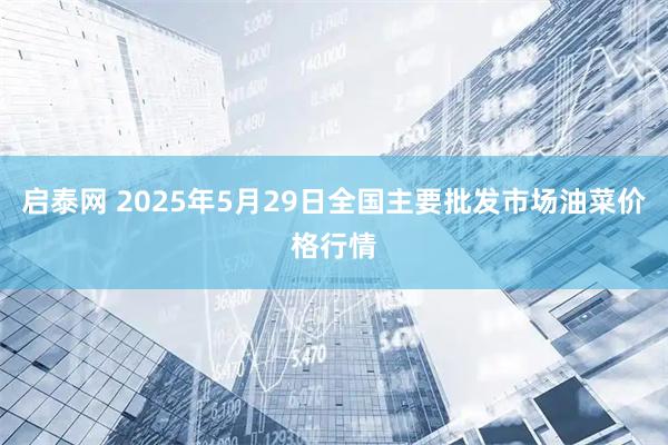 启泰网 2025年5月29日全国主要批发市场油菜价格行情