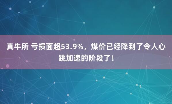 真牛所 亏损面超53.9%，煤价已经降到了令人心跳加速的阶段了！