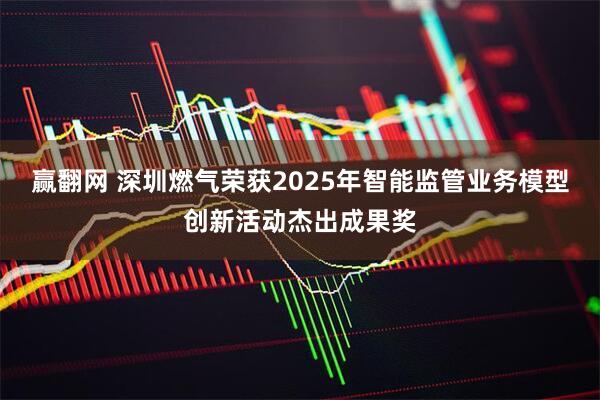 赢翻网 深圳燃气荣获2025年智能监管业务模型创新活动杰出成果奖