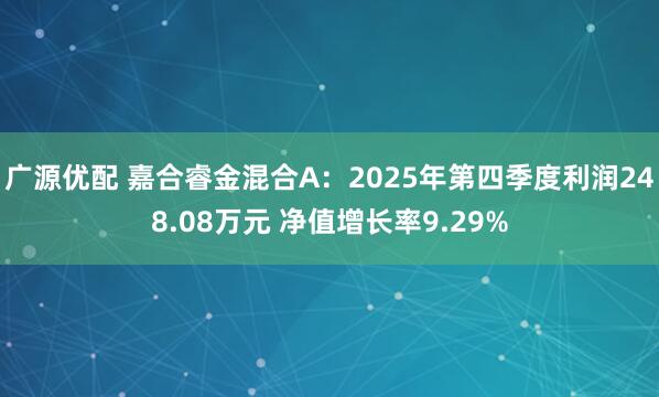广源优配 嘉合睿金混合A：2025年第四季度利润248.08万元 净值增长率9.29%