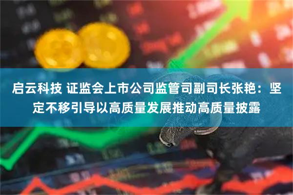 启云科技 证监会上市公司监管司副司长张艳：坚定不移引导以高质量发展推动高质量披露