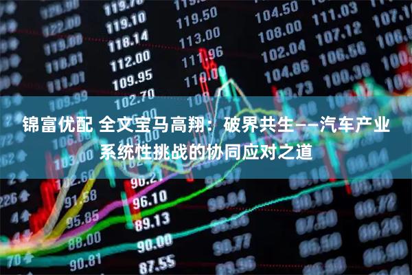 锦富优配 全文宝马高翔：破界共生——汽车产业系统性挑战的协同应对之道