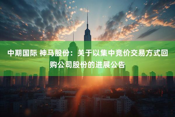 中期国际 神马股份：关于以集中竞价交易方式回购公司股份的进展公告